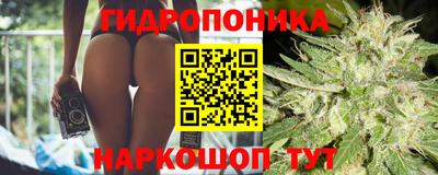 сатива Белореченск