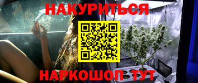 сатива Белореченск
