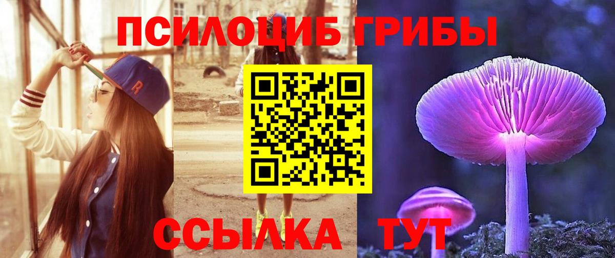 продажа наркотиков  Вход с VPN  Солнечногорск  Галлюциногенные грибы прущие грибы 