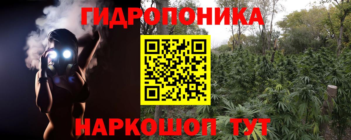 Конопля Ganja Солнечногорск